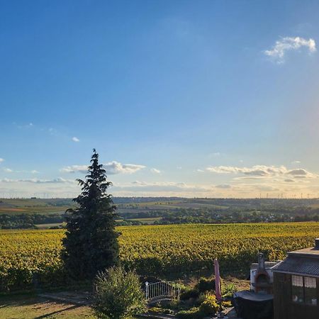Monteurwohnung Ha-Wei -90 M2 Hangen-Weisheim ภายนอก รูปภาพ