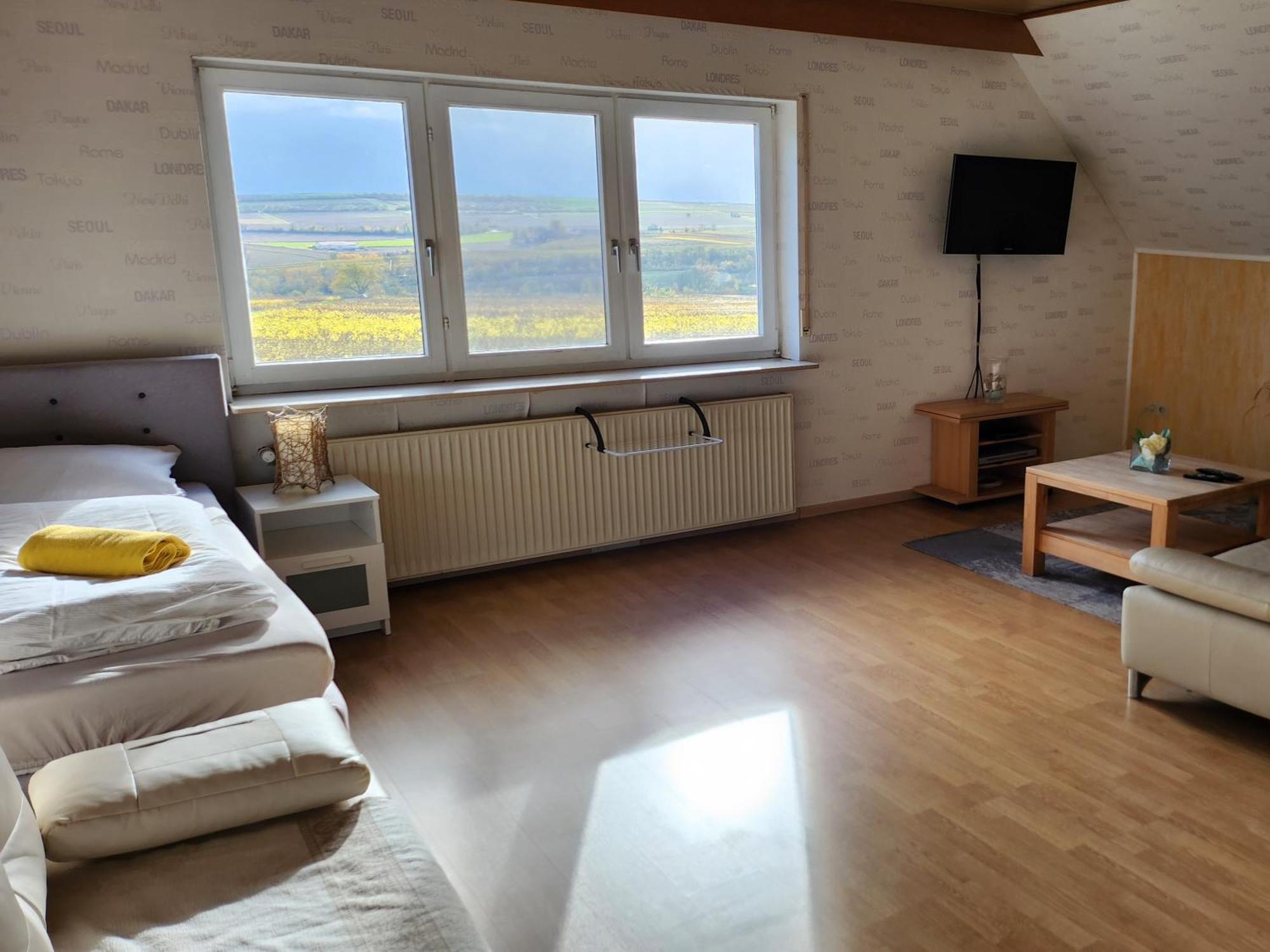 Monteurwohnung Ha-Wei -90 M2 Hangen-Weisheim ภายนอก รูปภาพ