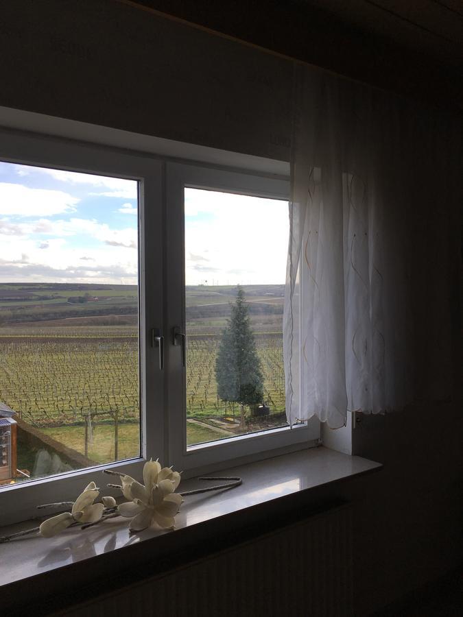 Monteurwohnung Ha-Wei -90 M2 Hangen-Weisheim ภายนอก รูปภาพ